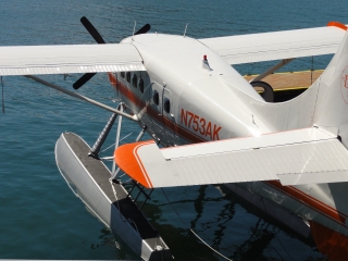 juneau-de-havilland