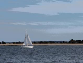 SONY DSC