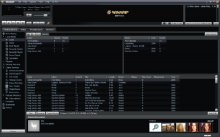 winamp-library-display